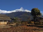 Eco Village Asthma