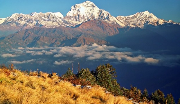 Ghorepani Circuit Trek